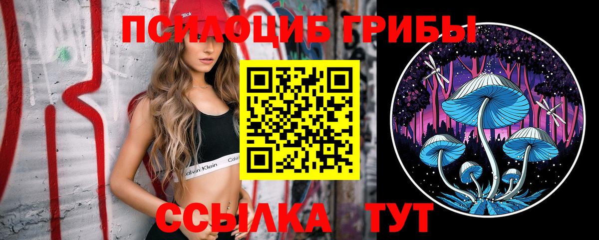 Галлюциногенные грибы GOLDEN TEACHER  Псилоцибиновые грибы мухоморы  Вход с VPN  Славгород 